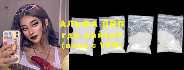 стаф Аркадак