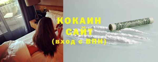 стаф Аркадак