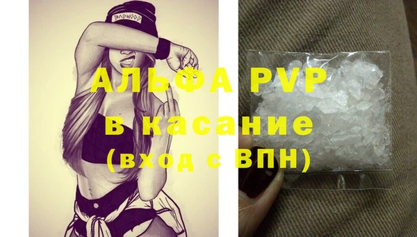 стаф Аркадак