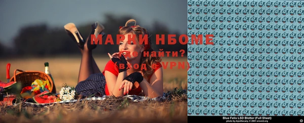 стаф Аркадак