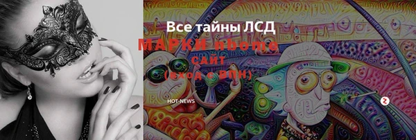 стаф Аркадак