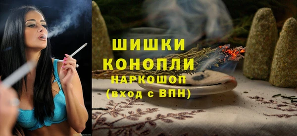 стаф Аркадак