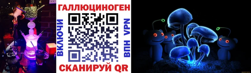 Купить закладки  Мамадыш  Галлюциногенные грибы GOLDEN TEACHER 